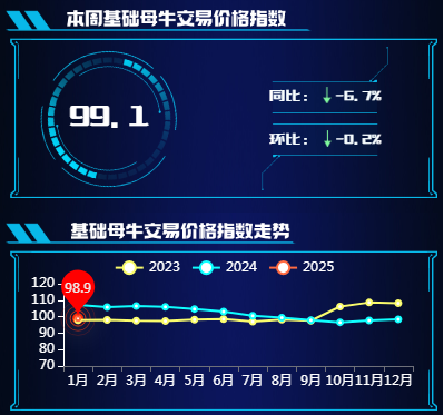 基础母牛